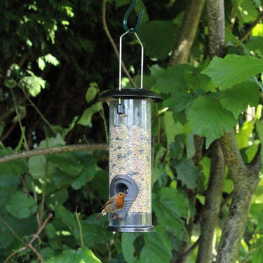 Mangeoire oiseaux nourriture